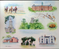 life-in-pictures-commission-for-local-gp