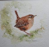 wren-scaled